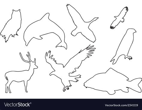 Animal outlines Royalty Free Vector Image - VectorStock