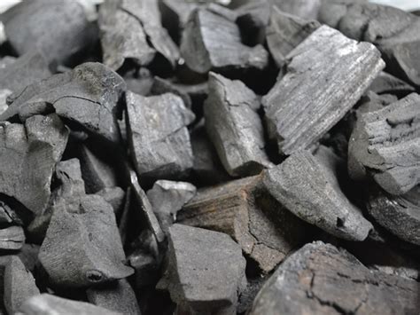 mengenal   dimaksud charcoal  arang kayu  manfaatnya