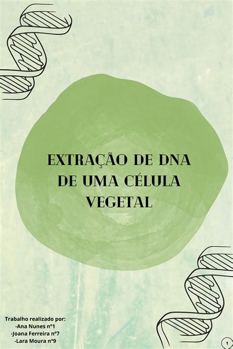 Extra O De Dna De Uma C Lula Vegetal Extra O De Dna De Uma C Lula