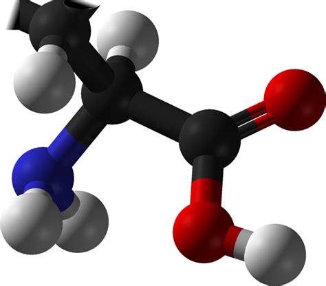 Aspartic acid - Wikipedia