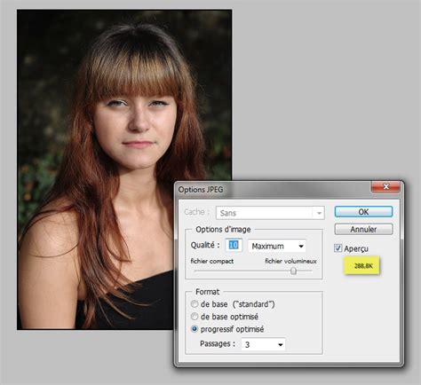 Comment Redimensionner Des Images Dans Photoshop Capture Nx Ou