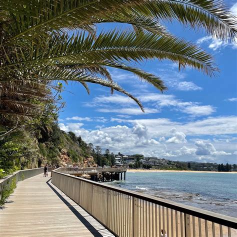 Terrigal Boardwalk All You Need To Know Before You Go