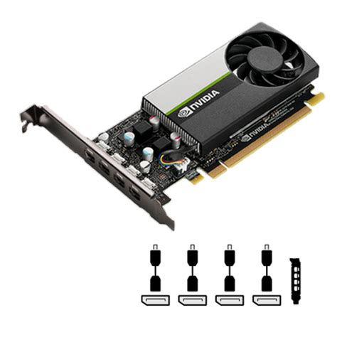NVIDIA T1000 Pełna wydajność grafiki na karcie o niskim profilu | Servodata