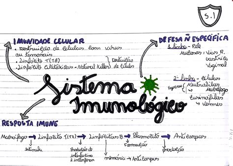 O Sistema Linfático Desempenha Papel Importante Na Defesa Do Organismo
