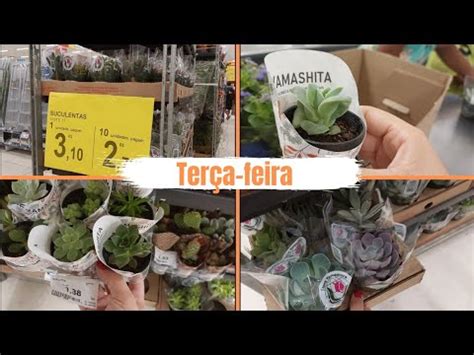 PLANTAS DO MERCADO PREÇOS DE 2023 HOJE ATRASOU A ENTREGA plantas