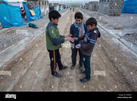 Refugee Children In A Refugee Camp In Northern Iraq Stock Photo Alamy