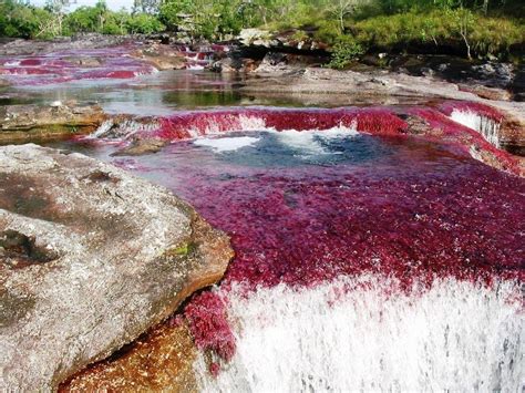 Liquid Rainbow River Of Columbia HD Wallpapers - Wallpaper Cave