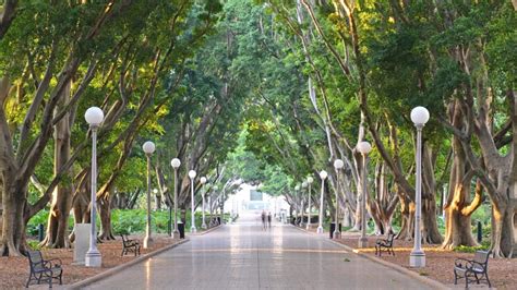 Heres Why Picnic At Hyde Park Sydney Is Like No Other