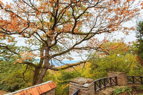 Alazani Valley stock image. Image of design, georgia - 55254643