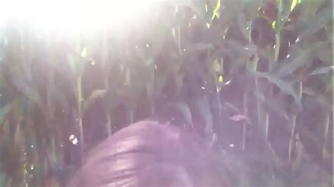 Corn Field Videos XVIDEOS