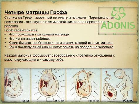 Четыре матрицы Грофа