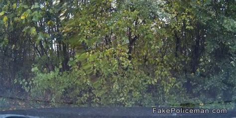 MOFOS Stranded Teens Mila Evans Blonde Bangs In The Back Seat Tnaflix