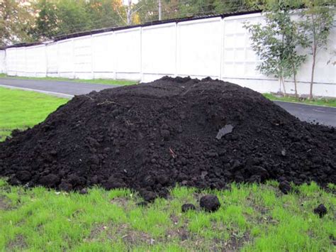 Купить плодородный грунт в Ярославле с доставкой по выгодной цене за ...