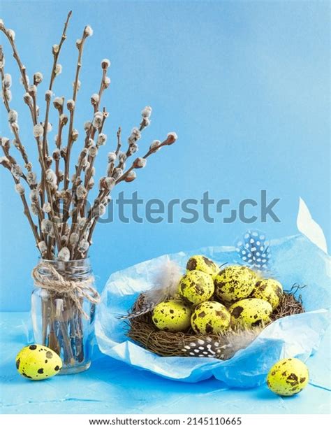 Pussy Willow Palm Sunday Holiday Ukraine Stock Photo
