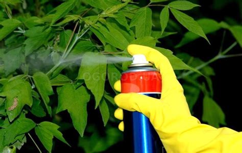 Применение пестицидов