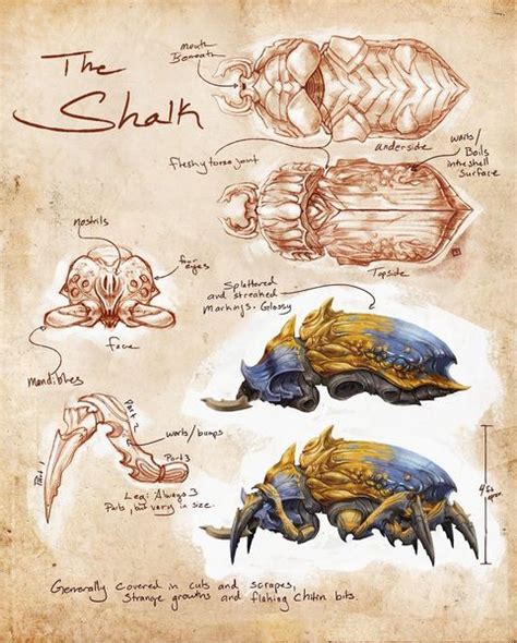 Lore:Shalk - The Unofficial Elder Scrolls Pages (UESP)