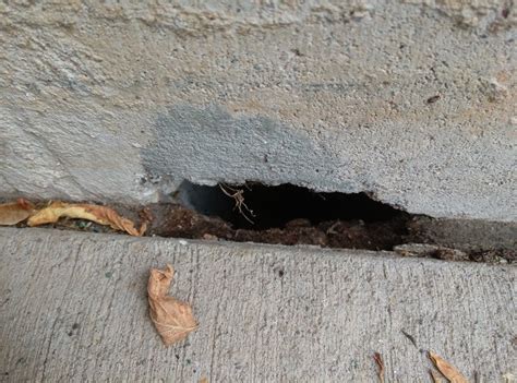 Hole In Foundation Wall Cinder Block Diy Home Improvement Forum