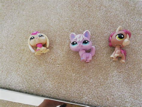 My Mascots Wiki Lps Amino