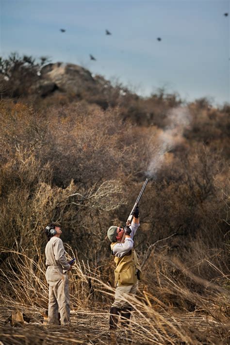 Argentina Dove Hunting Guided Dove Hunting In Argentina