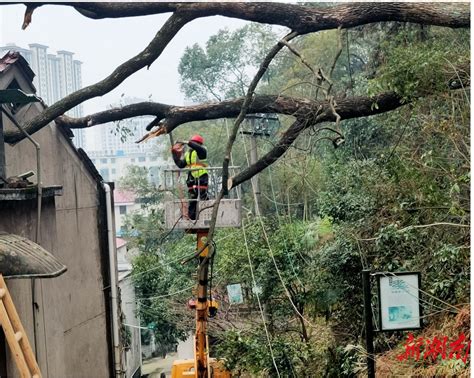 浏阳市淮川街道城西社区：部门来报到！众人携手清理断树残枝护家园 大城小巷 新湖南