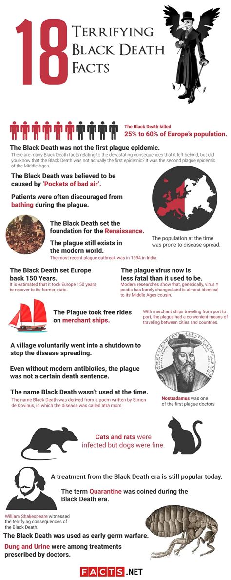 20 Black Death Facts That Will Shock You - Facts.net