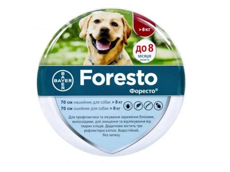 Bayer Foresto (Форесто) - Нашийник від кліщів, бліх, вошей та власоїдів ...