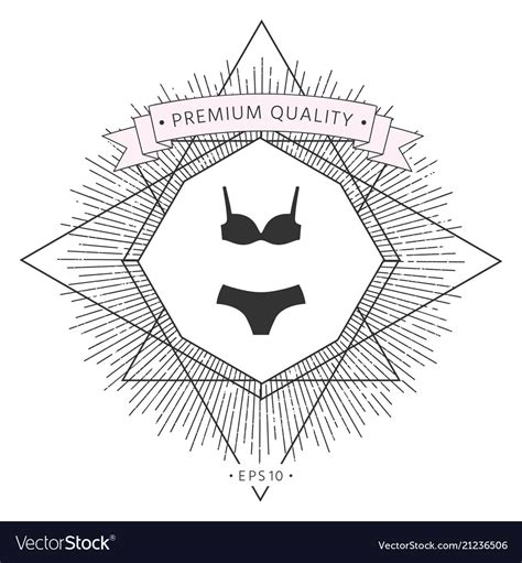 Set Of Lingerie Or Swimsuit Two Piece Bikini Vector Image