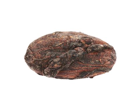 Single Cocoa Bean Isolated Stock Image Image Of Cacao 108777661
