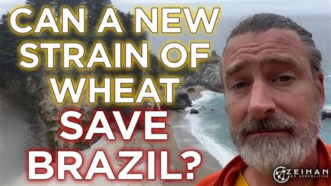 Brazil S Game Changing Wheat A Revolutionary Shift In Global Power