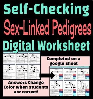 Sex Linked Pedigrees Self Checking Digital Worksheet By Hey Now Science