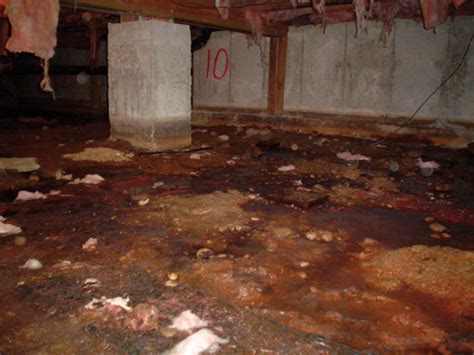 Crawl Space Waterproofing Everything You Need To Know Build Better House