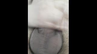 Πουτσα Porn Videos Pornhub