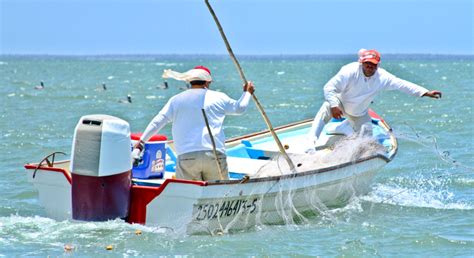 Estrategias de combate contra pesca ilegal Secretaría de Agricultura