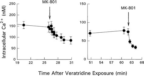 Effect of delayed addition of MK-801 on intracellular Ca 2 levels ...