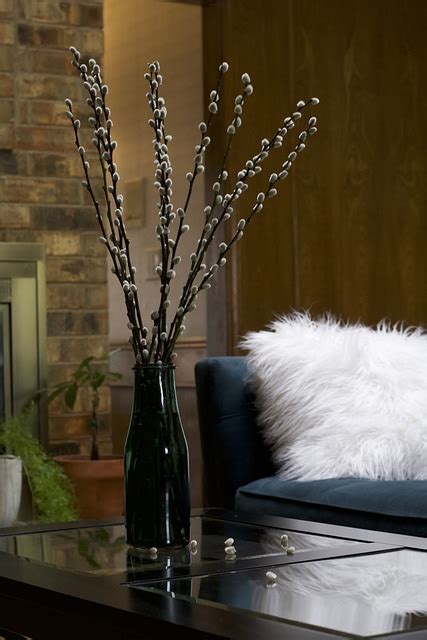 Pussy Willow Flower Spring Free Photo On Pixabay Pixabay