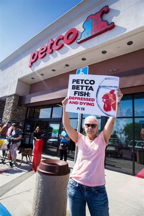 So Wrong: Betta Fish Found Sick and Dying at Petco | PETA