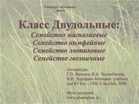 Класс Двудольные - презентация онлайн