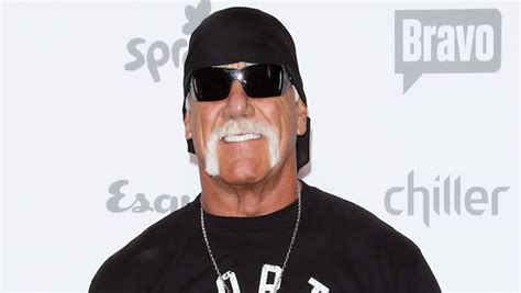 Hogans Nwo Reunion Video Jericho Cruise Sails Sans Disco Inferno