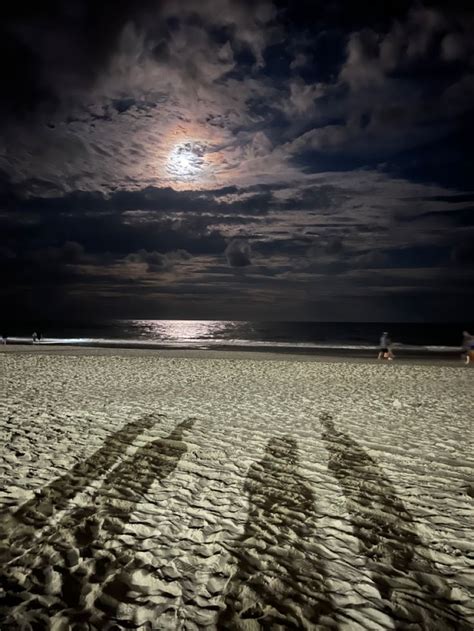 nighttime beach night view   brighton   pier