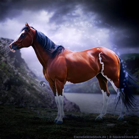 Horse Eden Eventing