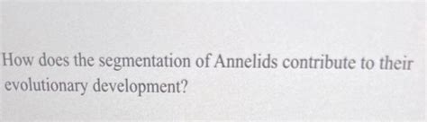 Solved How Does The Segmentation Of Annelids Contribute To