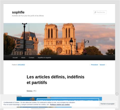 Le Moteur Du Fle Les Articles Définis Indéfinis Et Partitifs