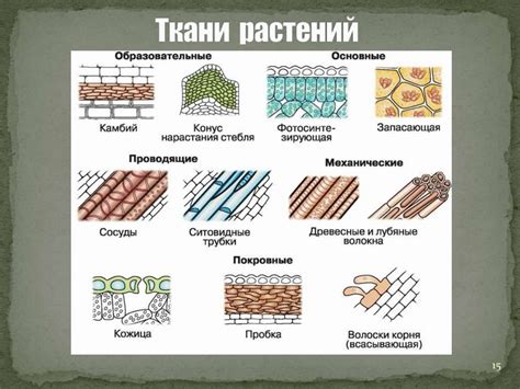 Углубленная биология - презентация онлайн