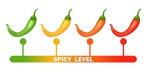 Premium Vector Hot Spicy Level With Flame Pepper Infographic Design Template With Red Hot