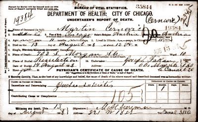 ChicagoGenealogy: Research Insights from Study and Serendipity: One ...