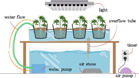 Lakaran Sistem Akuaponik Ebb And Flow Hydroponic Setup