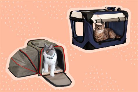 The 7 Best Cat Carriers Of 2022