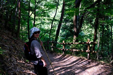 Nakasendo Trail Logo