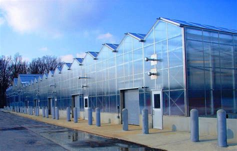 Why choose an Aluminum Greenhouse? - Prospiant