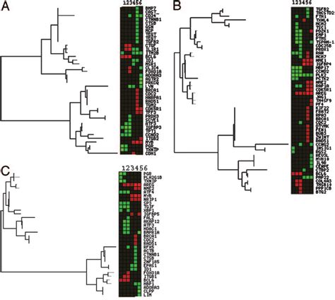 Clustering of genes classified into the functional categories of ...